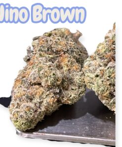 NINO BROWN 3.5grams 35%THC EXOTICS 🎉BLACK FRIDAY SALE🎉
