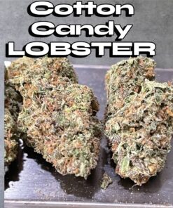 Cotton Candy 🦞 Lobster 28grams OZ HYBRID 25%THC