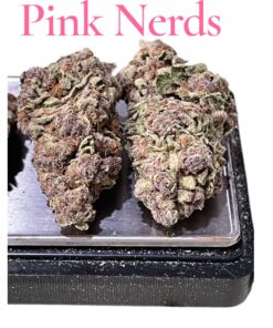 PINK NERDS 7GRAMS QUARTER 25%THC 🎉BLACK FRIDAY SALE🎉HYBRID