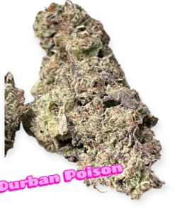 DURBAN POISON 28grams SATIVA 29%THC 🔥🔥